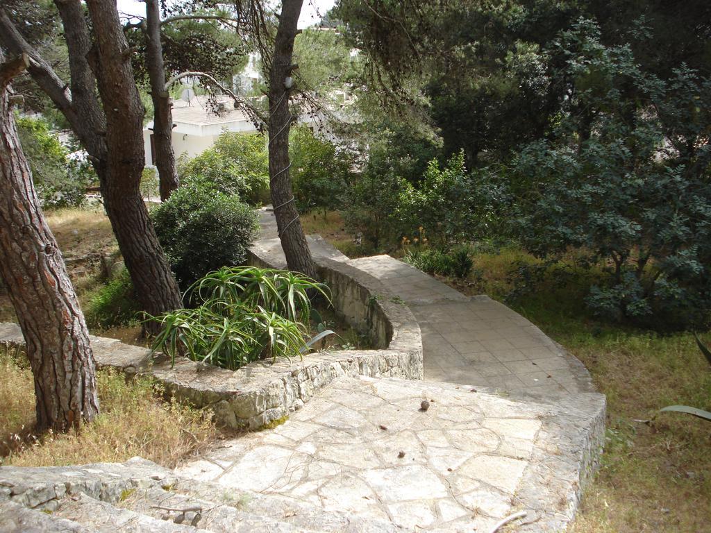 הוילה Nardò Trullo In The Wood מראה חיצוני תמונה