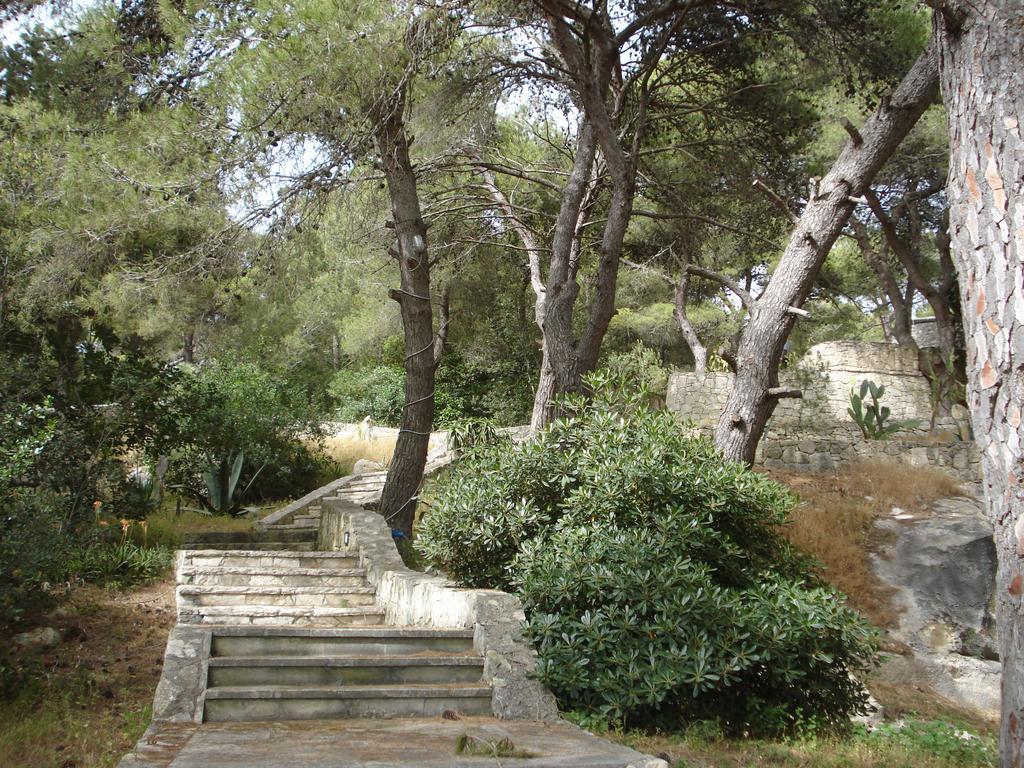 הוילה Nardò Trullo In The Wood מראה חיצוני תמונה